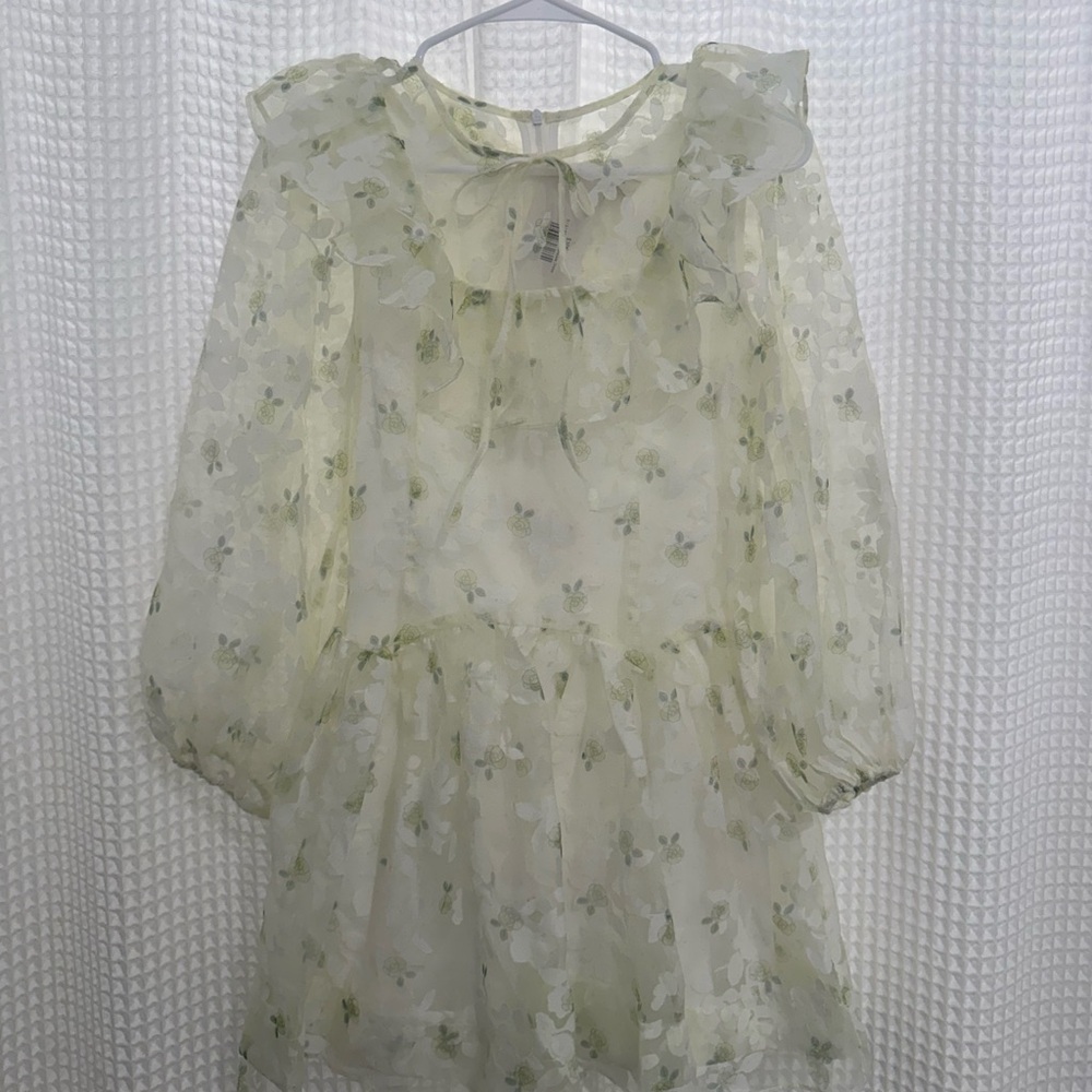 Floral Sheer Mini Dress - Cream and Green